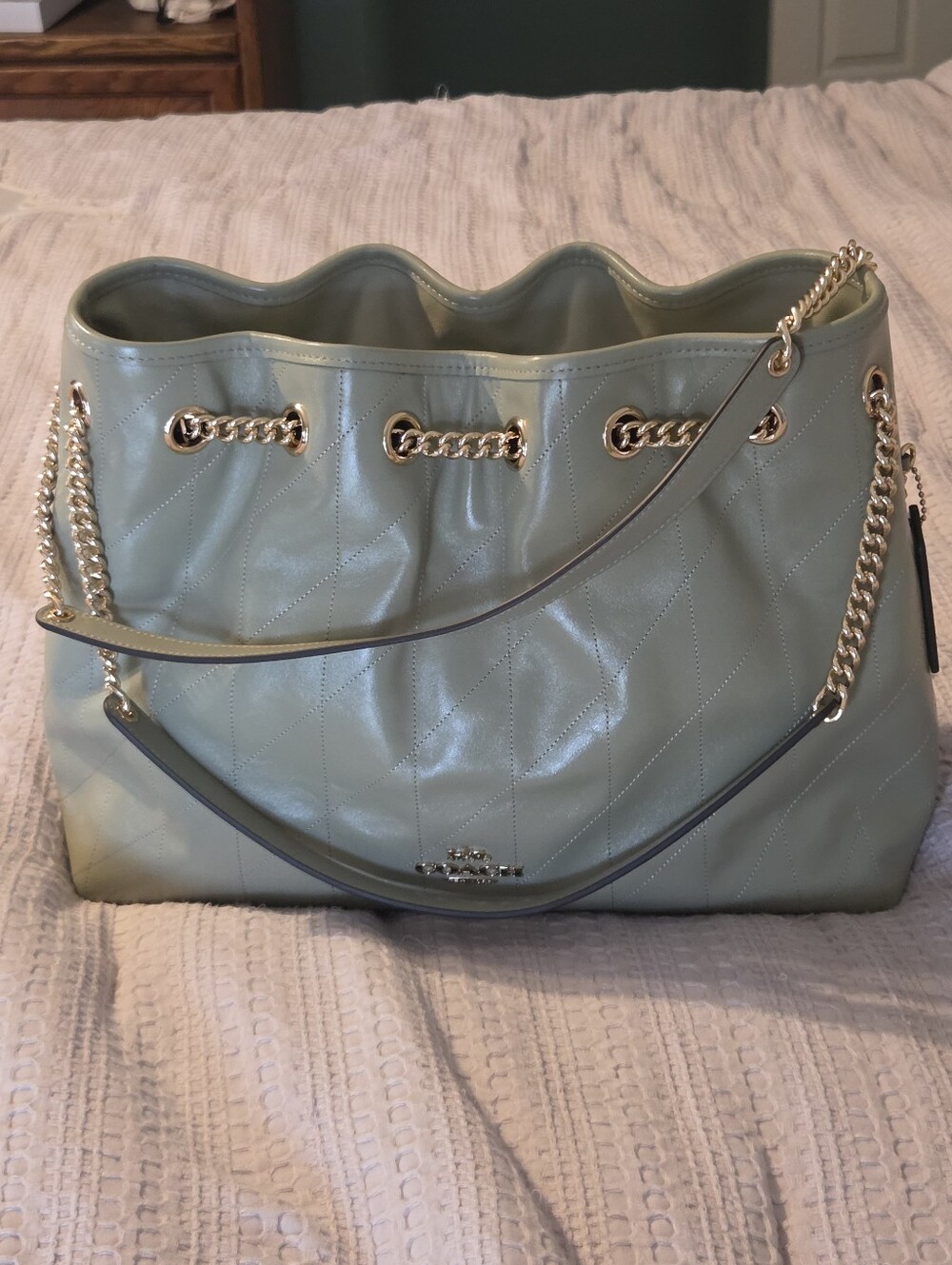 EUC Coach Pistachio Evelyn